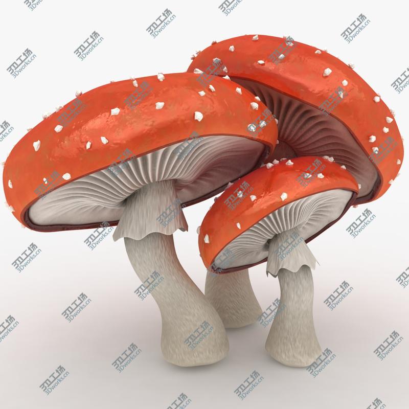 images/goods_img/202104094/Mushrooms Collection 3 3D/4.jpg